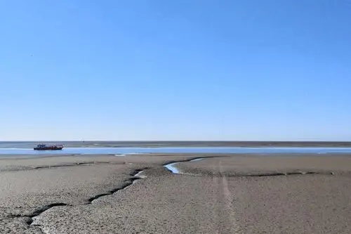 淤泥质海岸.png