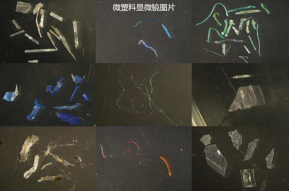 海洋微塑料.jpg